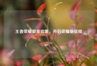 王者荣耀徽章收集，开启荣耀新征程