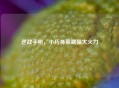 逆战手枪，小巧身躯藏强大火力