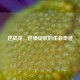 逆战花，逆境绽放的生命奇迹