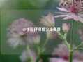 CF小靓仔演绎火线传奇