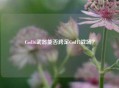 Cod16武器能否跨足Cod17战场？