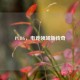 PUBG，电竞领域新传奇