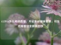 CCTV14少儿频道直播，开启多彩视听世界，可在线观看安全教育回放