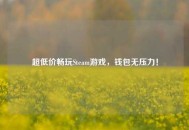 超低价畅玩Steam游戏，钱包无压力！