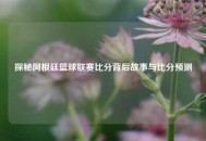 探秘阿根廷篮球联赛比分背后故事与比分预测