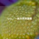 Steam，一场失败的落幕