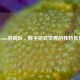 Steam游商队，数字游戏世界的独特传奇
