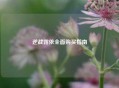 逆战露依全面购买指南