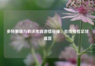 多特蒙德与勒沃库森***碰撞，在线观看足球盛宴