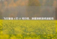 飞行堡垒 8 打 CF 可行性，深度剖析游戏适配性