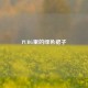 PUBG里的绿色裙子