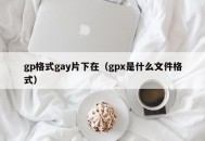 gp格式gay片下在（gpx是什么文件格式）