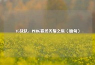 YG战队，PUBG赛场闪耀之星（缅甸）