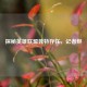 探秘英雄联盟独特存在，记者烬