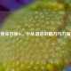 使命召唤16，小队语音的魅力与力量