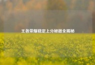 王者荣耀稳定上分秘籍全揭秘