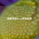 探秘可装Steam的笔记本