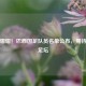星光熠熠！巴西国足队员名单公布，期待闪耀足坛