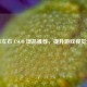 两百左右 CSGO 饰品推荐，提升游戏视觉体验