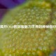 揭开CSGO国际服魅力世界的神秘面纱