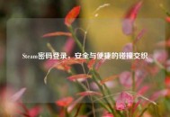 Steam密码登录，安全与便捷的碰撞交织