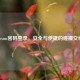 Steam密码登录，安全与便捷的碰撞交织