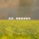 逆战，我要登录账号