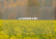 LOL为何突然卡顿？