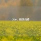 CSGO，格夫传奇