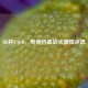 RB杯CSGO，电竞热血战火     点燃