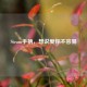 Steam手柄，想说爱你不容易
