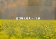 憨豆先生踏入CSGO世界