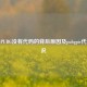 探寻PUBG没有代码的背后原因及pubgpic代码情况