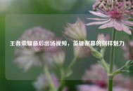 王者荣耀最后出场视频，英雄谢幕的别样魅力