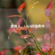 道具人，CSGO战场奇兵