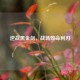 逆战黑金剑，战场致命利刃