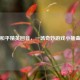 和平精英回音，一场奇妙游戏小插曲