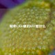 解析CSGO里的MVP是什么