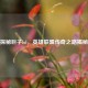 探秘巨子lol，英雄联盟传奇之路揭秘