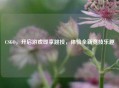 CSGO，开启游戏即享跳投，体验全新竞技乐趣