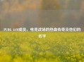 PUBG 4AM成员，电竞战场的热血传奇及他们的名字