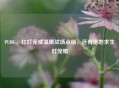 PUBG，红灯笼成温暖战场点缀，还有绝地求生灯笼帽