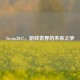Steam2047，游戏世界的未来之梦