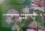 辽宁体育直播频道，体育盛宴的精彩窗口，比肩中央五