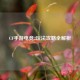 CF手游电竞2玩法攻略全解析