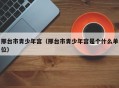 邢台市青少年宫（邢台市青少年宫是个什么单位）