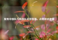 聚焦中国队与韩国队足球直播，点燃球迷***