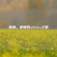 探秘，神秘的cf1234ww之旅