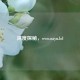 深度探秘，www.nayu.lol