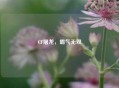 CF屠龙，霸气无双
